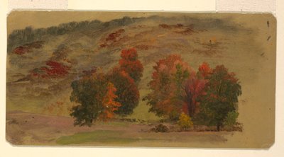 Podzimní Krajina od Frederic Edwin Church