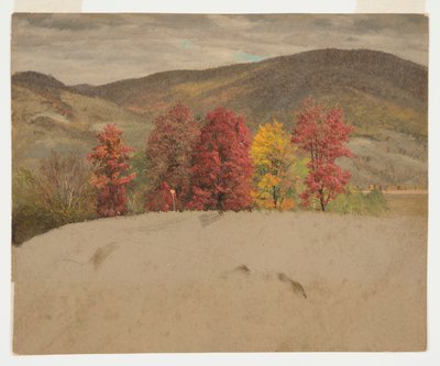 Podzimní krajina v Nové Anglii od Frederic Edwin Church