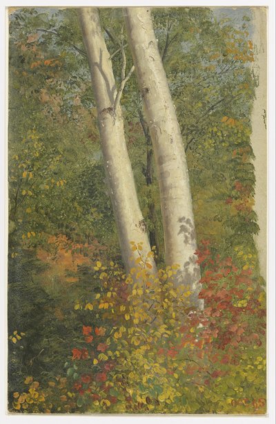 Břízy na podzim od Frederic Edwin Church