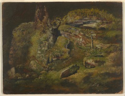 Boulder v lese od Frederic Edwin Church