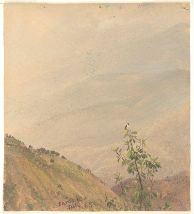 Vzdálené kopce, Jamajka od Frederic Edwin Church