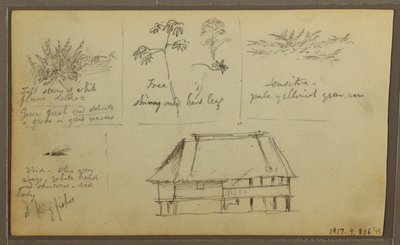 Kresba, Pevnost; Verso: Botanické skici, Dům, 1857 od Frederic Edwin Church