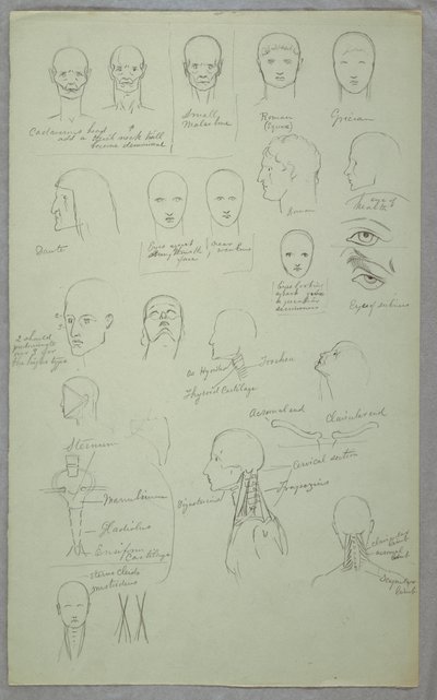 Kresba, anatomické studie, 1865-70 od Frederic Edwin Church