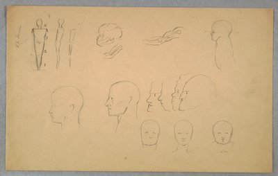 Kresba, anatomické studie, 1865-70 od Frederic Edwin Church