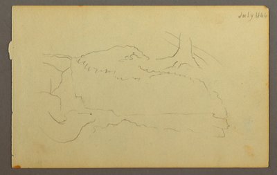 Kresba, Základna stromu, balvany, 1844 od Frederic Edwin Church