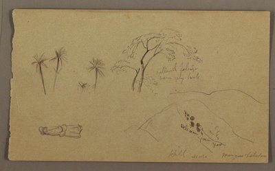 Kresba, botanické skici, figura, květen-srpen 1865 od Frederic Edwin Church