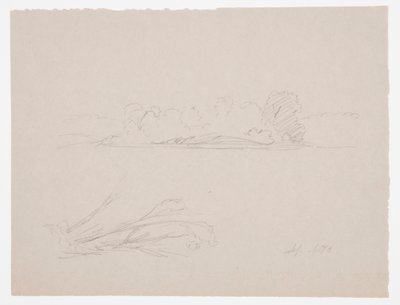 Kresba, Botanické skici: krajina, stromy na pobřeží, září 1876 od Frederic Edwin Church