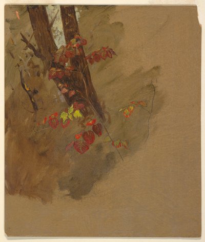 Kresba, botanické studie, 1860-70 od Frederic Edwin Church