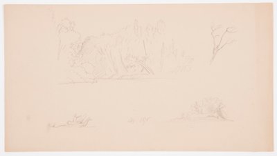 Kresba, Botanické skici: strom, stromy na břehu, září 1876 od Frederic Edwin Church