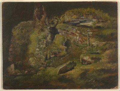 Kresba, Balvan v lese, asi 1845 od Frederic Edwin Church
