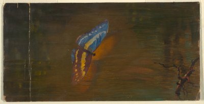 Kresba, Motýl nad vodou, asi 1865 od Frederic Edwin Church