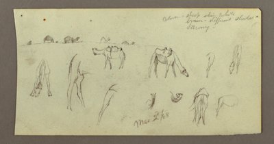 Kresba, Studie velbloudů, 2. března 1868 od Frederic Edwin Church