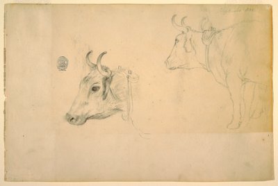 Kresba, dobytek, září 1844 od Frederic Edwin Church