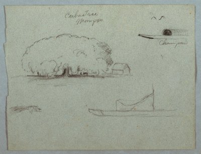 Kresba, strom Ceiba u Momposu, kanoe Champan, stromy a částečný člun, Rio Magdelena, Kolumbie, 1853, pravděpodobně květen od Frederic Edwin Church
