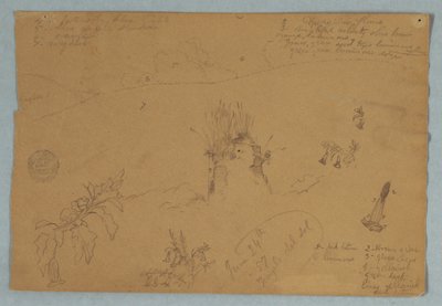 Kreslení, Kreslení.  Botanické náčrty a náčrty mraků poblíž Quita, Ekvádor, 24. června 1857 od Frederic Edwin Church