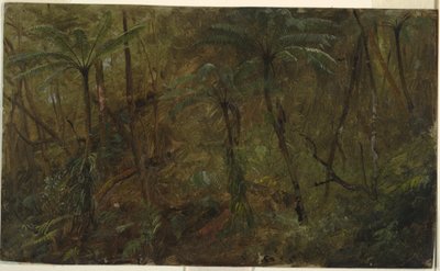 Kresba, V lesích Jamacie, Západní Indie, 1865 od Frederic Edwin Church