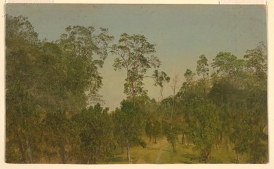 Kresba, Krajiny, červenec 1865 od Frederic Edwin Church