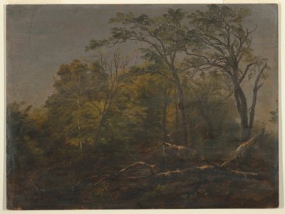 Kresba, Maine Woods, 1845-55 od Frederic Edwin Church