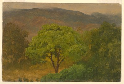 Kresba, Horská krajina, srpen 1865 od Frederic Edwin Church
