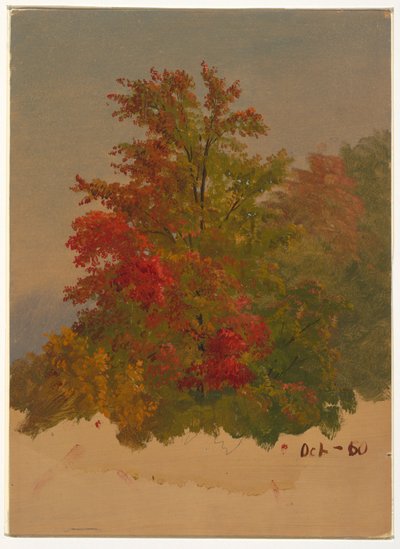 Kresba, Mt. Desert Island , Maine, říjen 1860 od Frederic Edwin Church