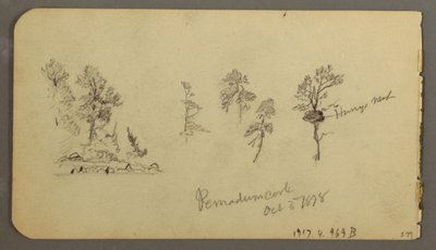 Kresba, Studie borovice, 1878 od Frederic Edwin Church