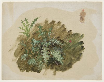 Kresba, Studie rostlin, 1865 od Frederic Edwin Church