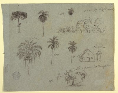 Kresba, Skicy z Rio Magdalene, Kolumbie:  Botanické studie a kostel, květen 1853 od Frederic Edwin Church