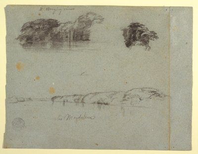 Kresba, Náčrtky stromů, vinné révy a břehu řeky Rio Magdalena, Kolumbie, 1853, pravděpodobně květen od Frederic Edwin Church