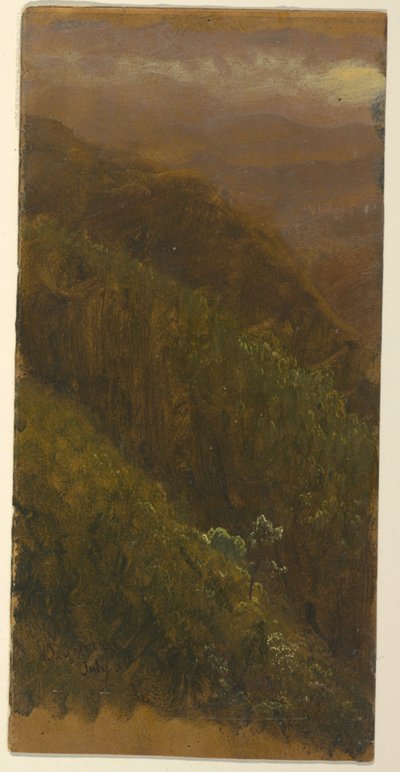 Kresba, Strmý svah, červenec 1865 od Frederic Edwin Church