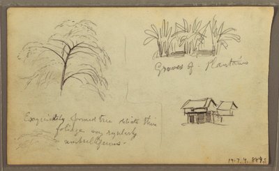 Kresba, roh ulice v Guaquilu, Ekvádor; Verso: Botanické skici, dům, Ekvádor nebo Kolumbie, 1857 od Frederic Edwin Church