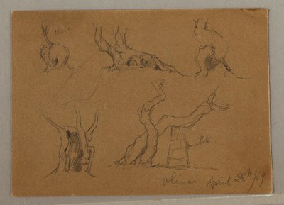 Kresba, Studie kmenů olivovníků, 28. dubna 1869 od Frederic Edwin Church