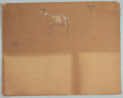 Kresba, Studie ovcí, Ekvádor nebo Kolumbie, 1853 od Frederic Edwin Church