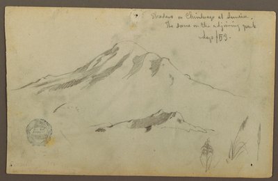 Kresba, Východ slunce na hoře Chimborazo a tři detaily trávy, září 1853 od Frederic Edwin Church