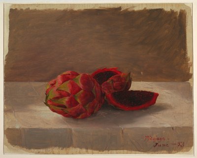 Kresba, Pitajaya Fruit, Kolumbie, červen 1853 od Frederic Edwin Church