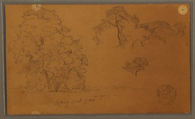 Kresba, Stromy, 1857 od Frederic Edwin Church