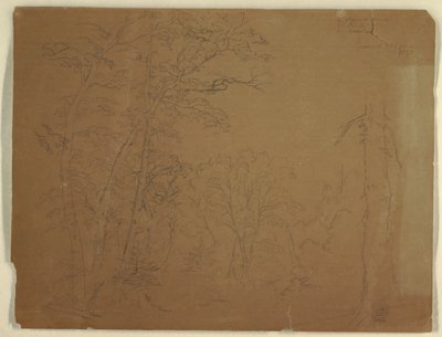 Kresba, Stromy, ostrov Grand Manan, Kanada, 1851 od Frederic Edwin Church