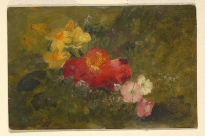 Kresba, Divoké květiny, Jamajka, 1865 od Frederic Edwin Church