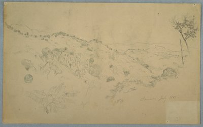 Kresba, Zalesněné údolí s velkým kapradím a vzdálenými horskými masivy, Jamajka, červenec 1865 od Frederic Edwin Church