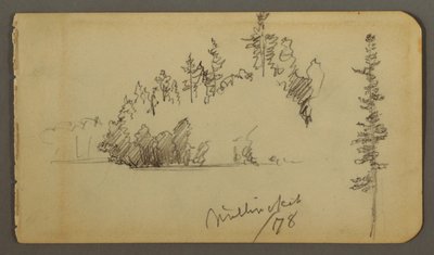 Kresba, Zalesněné pobřeží, studie stromu, 1878 od Frederic Edwin Church