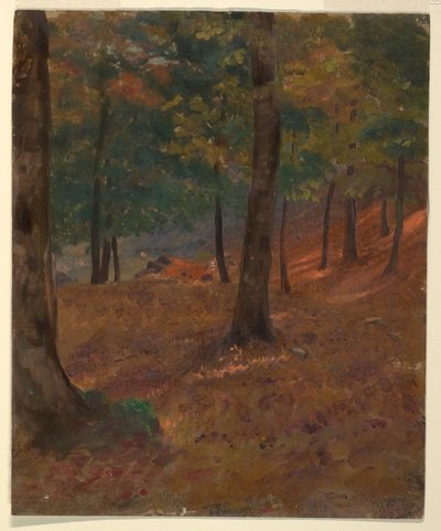 Kresba, lesní scéna, 1870-80 od Frederic Edwin Church
