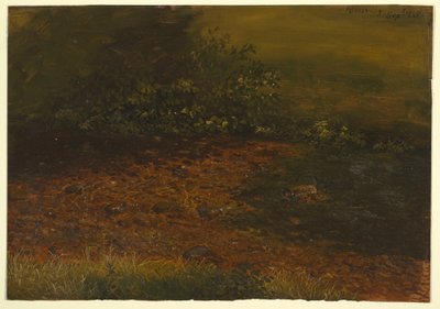 Kresba, Lesní potok v Catskills, září 1848 od Frederic Edwin Church
