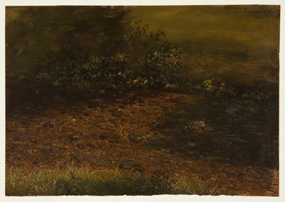 Kresba, Lesní potok v Catskills, září 1848 od Frederic Edwin Church