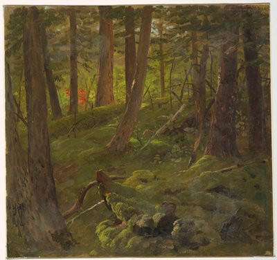 Les na Jamajce od Frederic Edwin Church