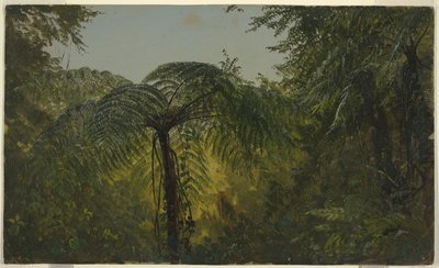 Listí džungle, Jamajka od Frederic Edwin Church