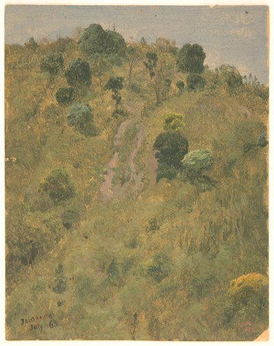 Krajina, Jamajka od Frederic Edwin Church
