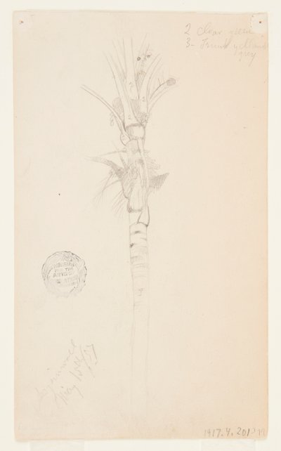 Listy a stonek palmy, Aspinwall, Panama od Frederic Edwin Church