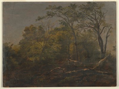 Maine Woods od Frederic Edwin Church