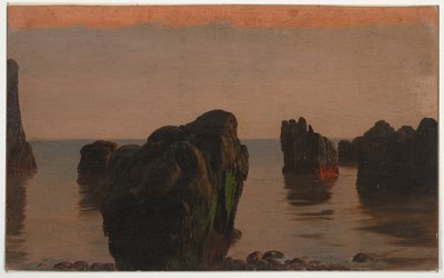 Skály a mech z Grand Manan od Frederic Edwin Church