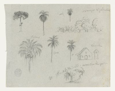 Náčrtky z Rio Magdalena, Kolumbie.  Botanické skici. Kostel.  Podobné jako -103. od Frederic Edwin Church