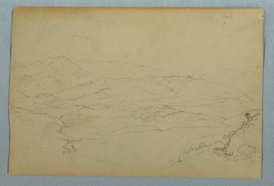 Náčrtky rostlin a části balustrády lemující terasu v Inn v Guaranda, Ekvádor od Frederic Edwin Church